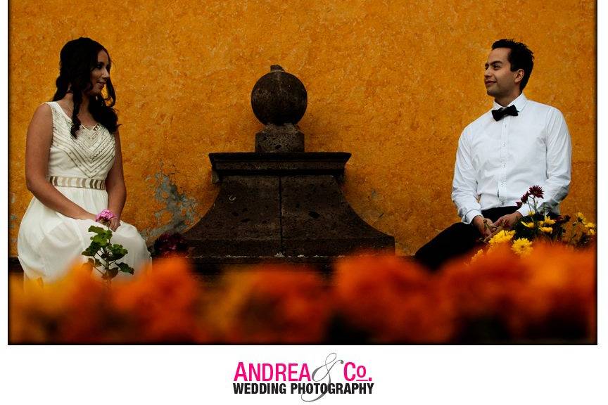 Andrea & Co Photography