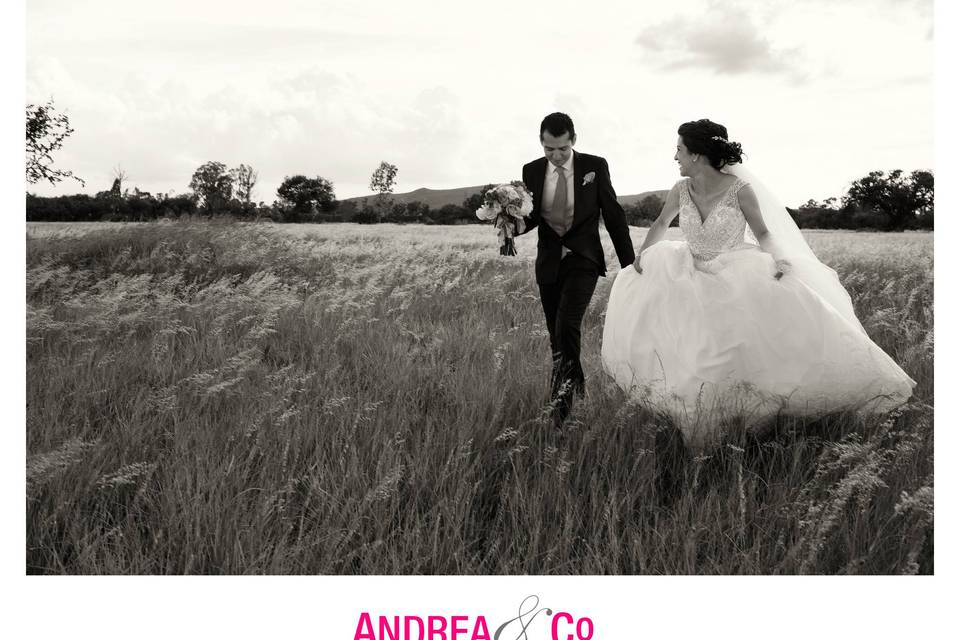 Andrea & Co Photography