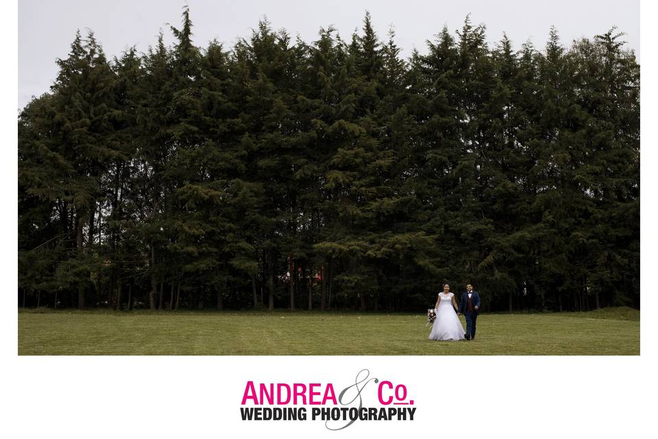 Andrea & Co Photography