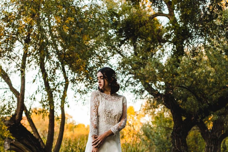 Vestido de novia sonia aroso