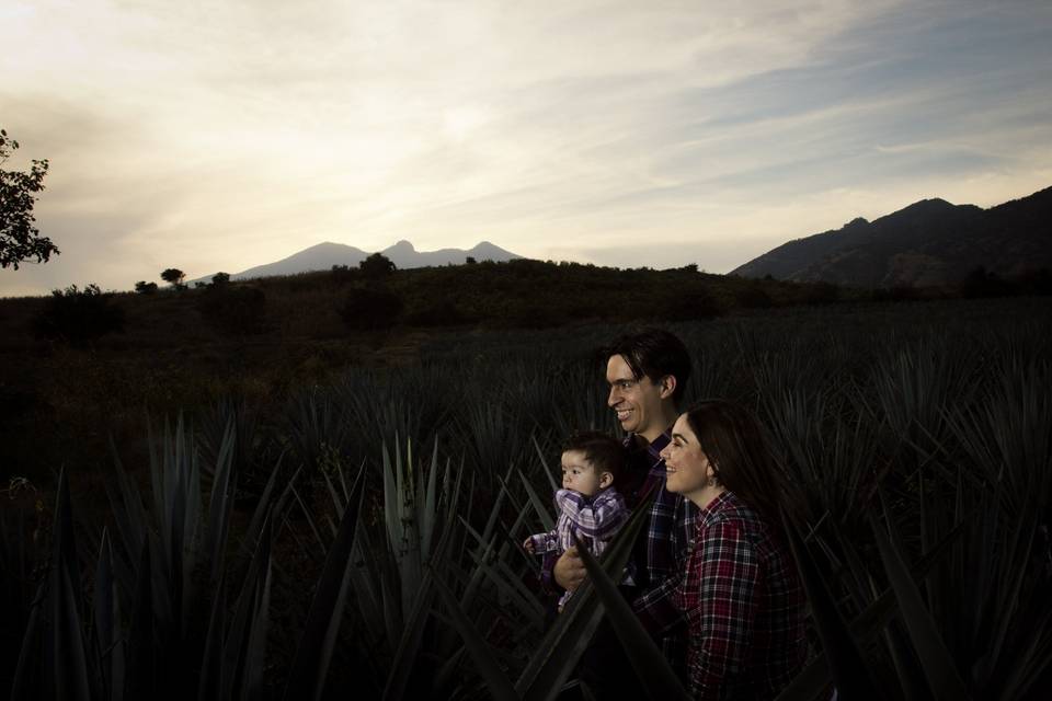 Tequila jalisco