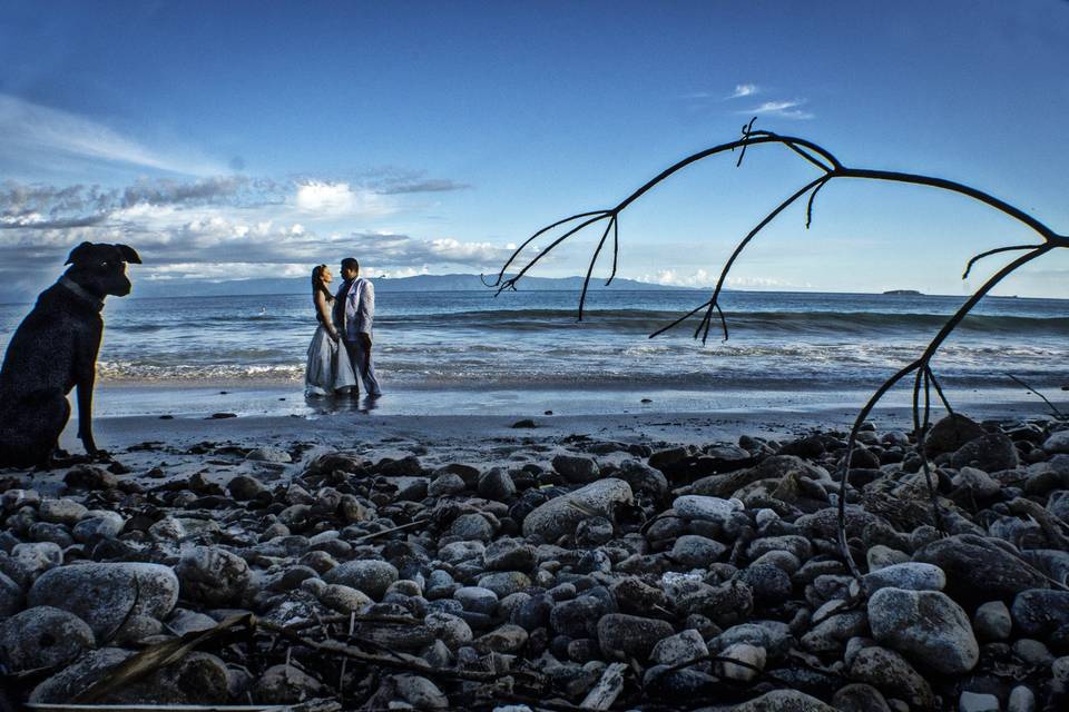 Trash the dress