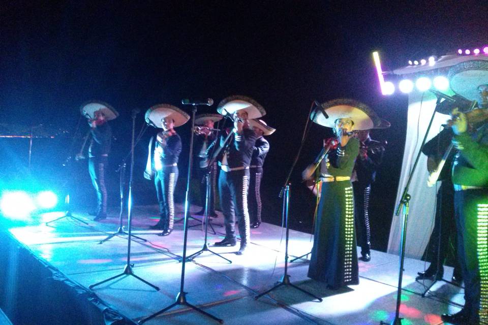 Mariachi