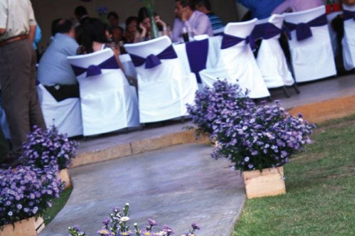 Decoración eventos