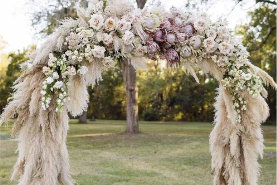 Gazebo plumoso