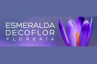 Esmeralda Decoflor