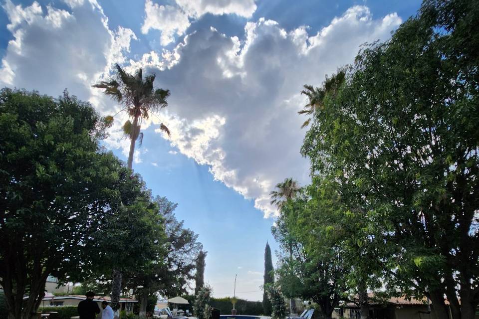 Jardines