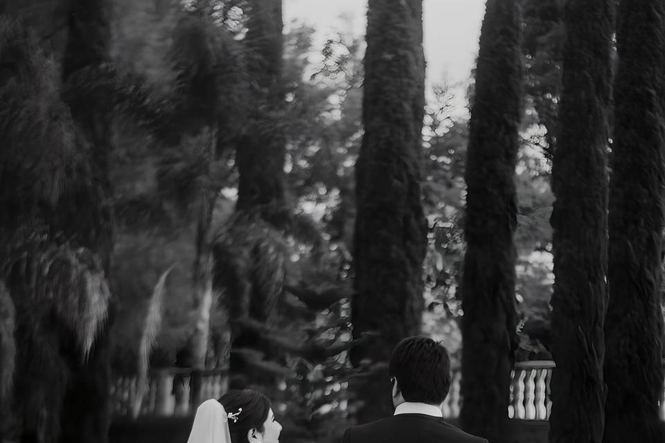 Nathaniel Román Fotografía