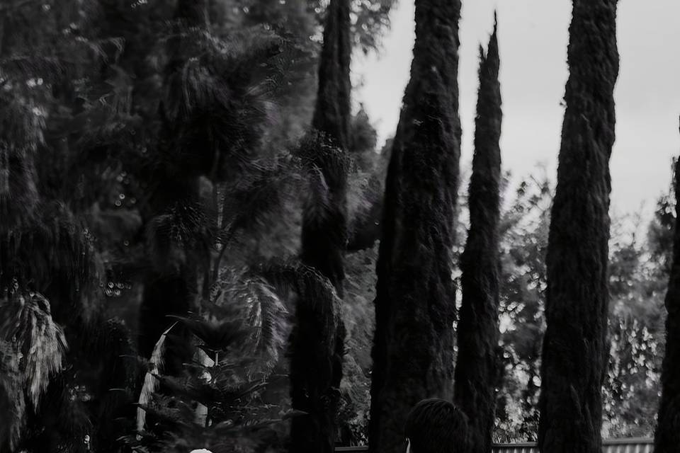 Nathaniel Román Fotografía