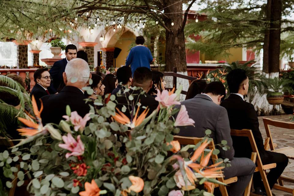 Nathaniel Román Fotografía