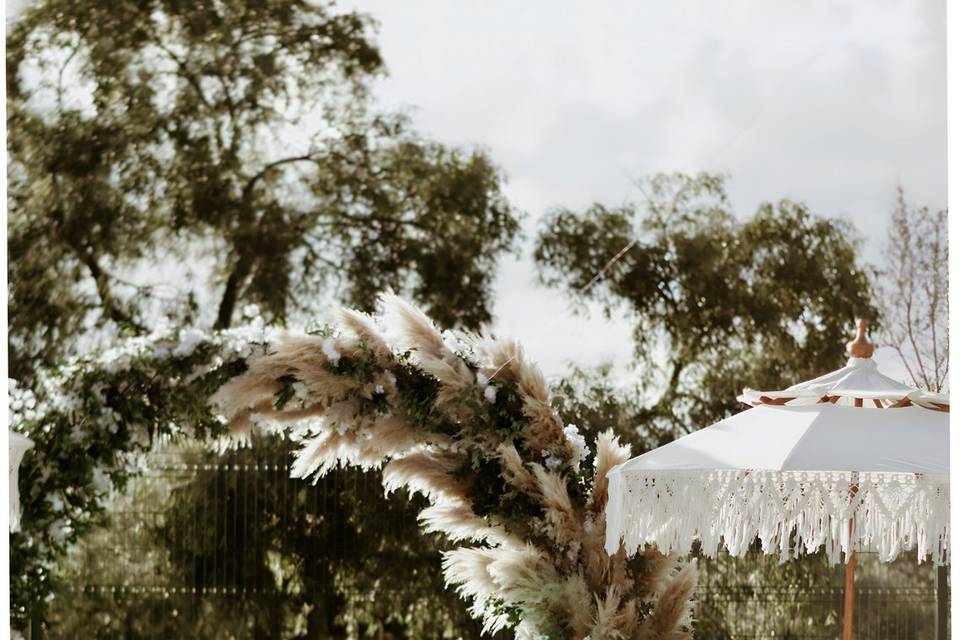 Nathaniel Román Art