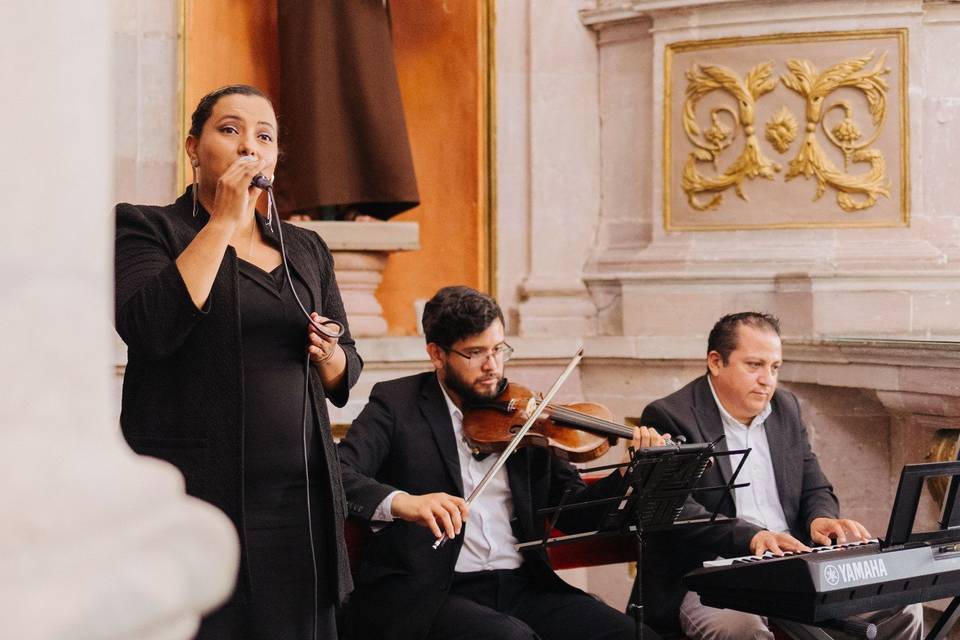 Ensamble Ad Libitum