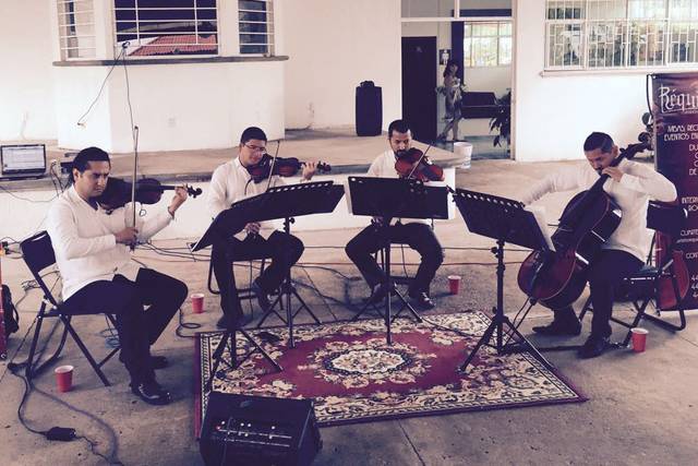 Cuarteto de cuerdas