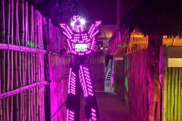 Robot Led