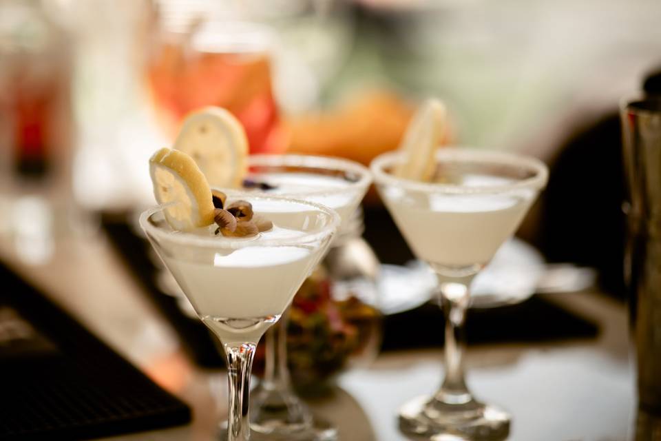 Palomas