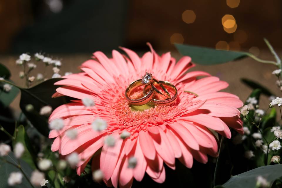 Detalles de anillo