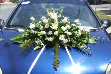 Contrastando con tu carruaje