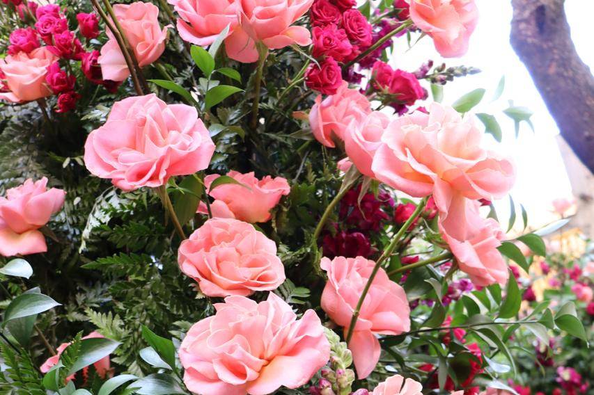 Detalles florales