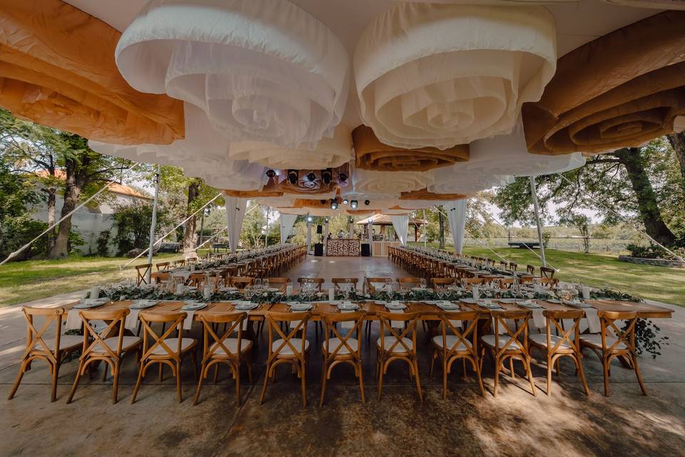 Boda g