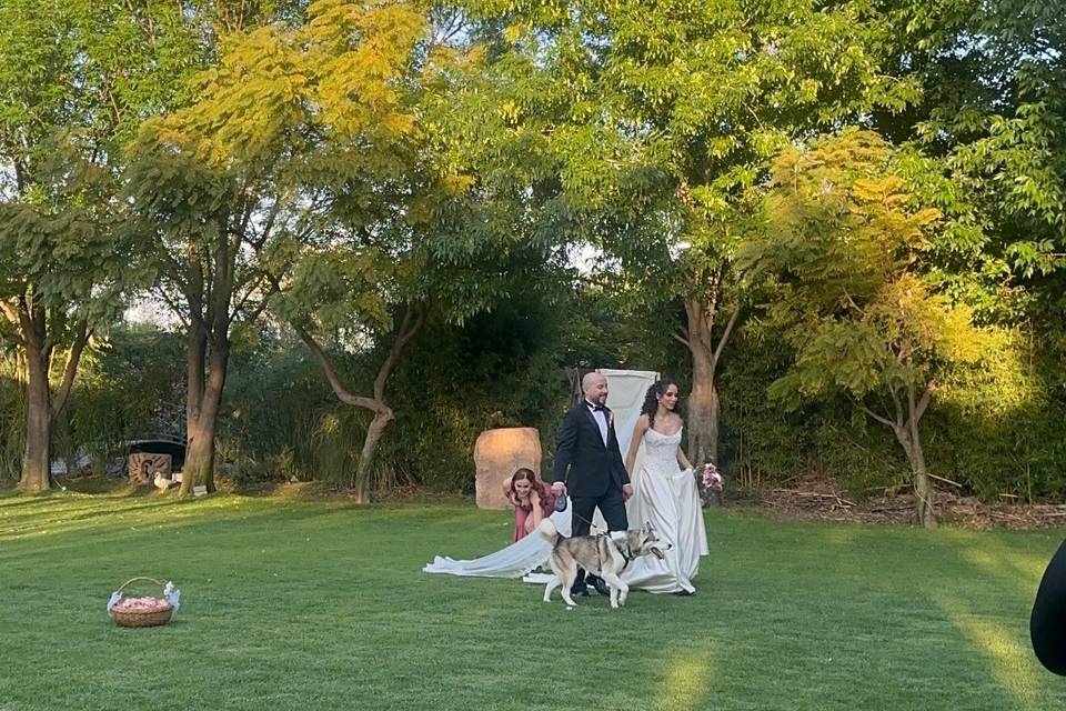 Boda de Nat & Kevin