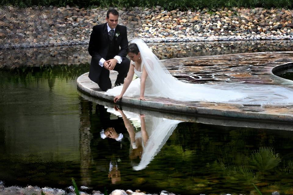 Renacimiento Foto Arte