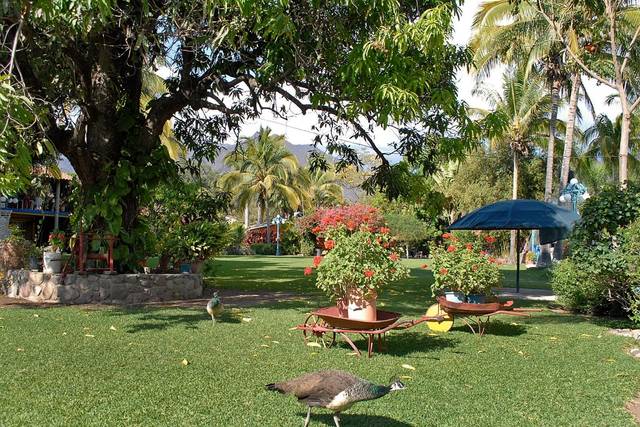Jardín