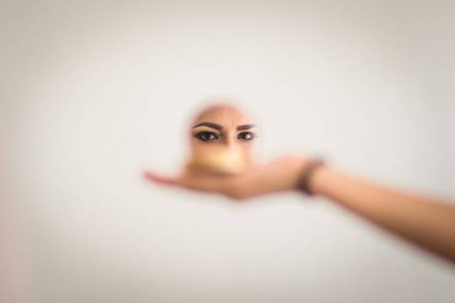 Artemia Photography