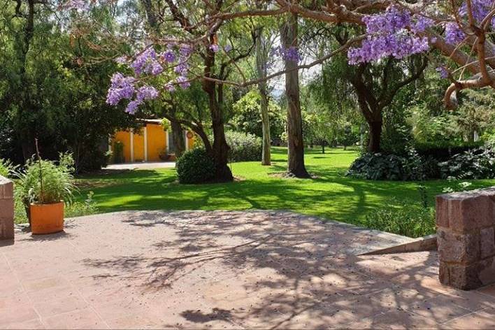 Terraza Jacarandas