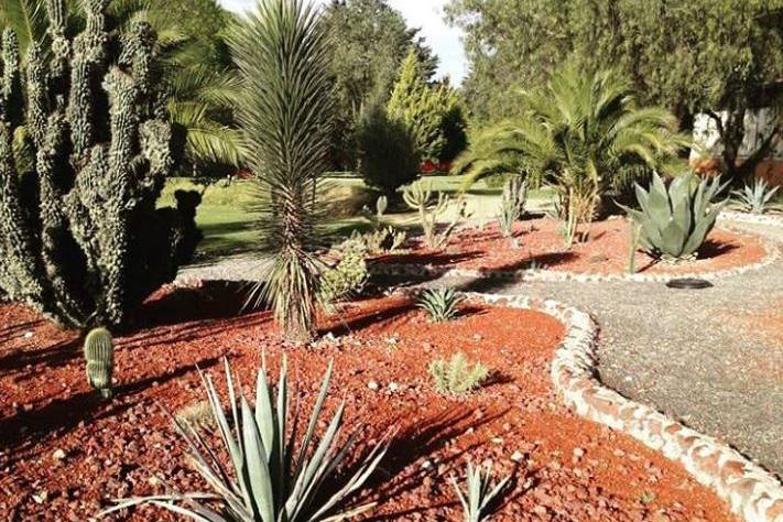 Jardin Cactaseas