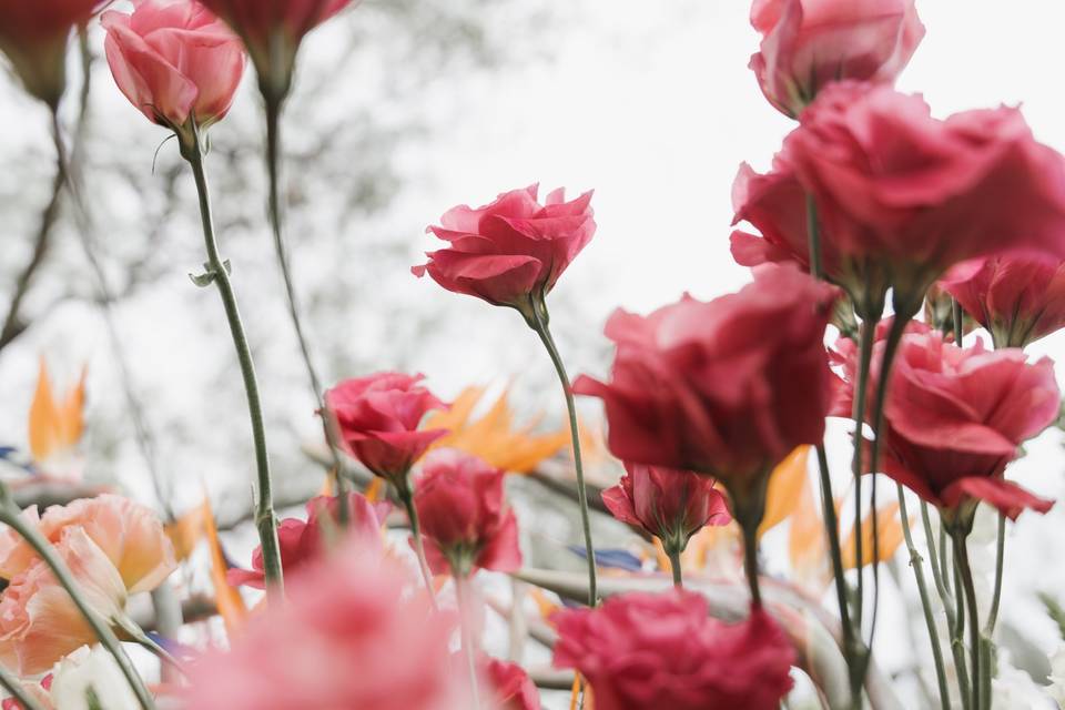 Detalle flores