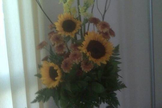 Girasoles