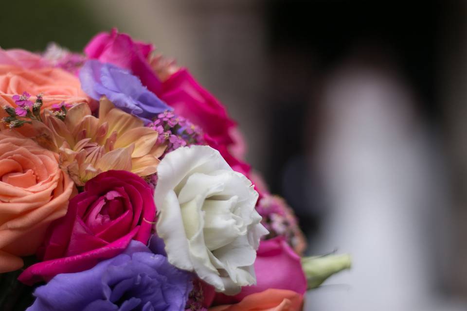 Flores