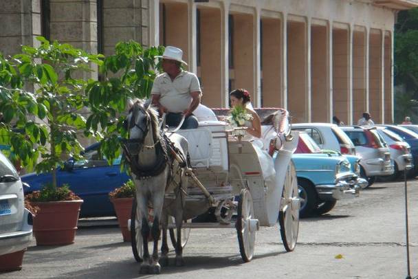 Cuba es amor