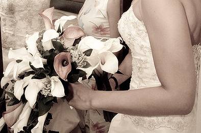 Recuerdos para siempre