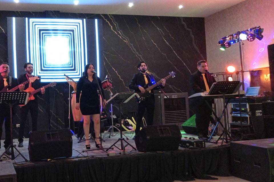 Xv años