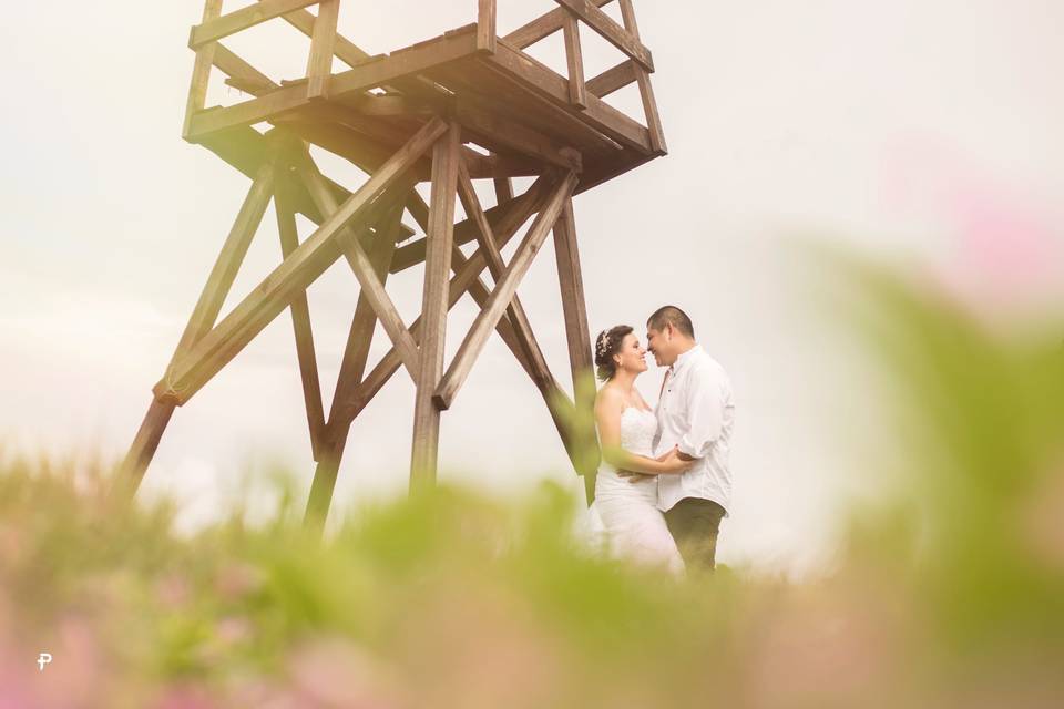 Trash the dress