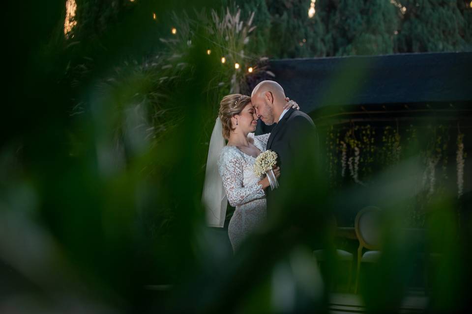 Novios entre plantas