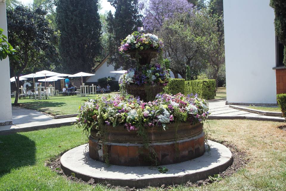 Jardín Vicentino