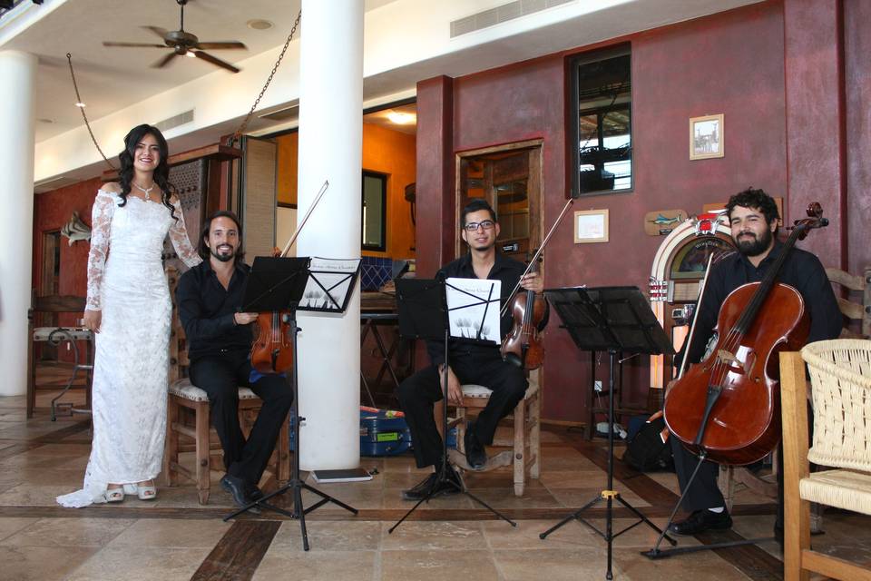 Boda en Bahía Gran Sueño