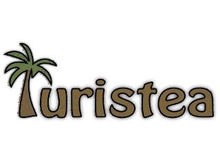 Turistea