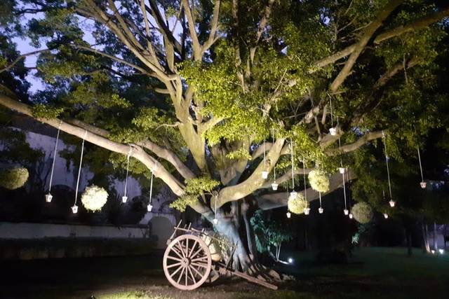 Iluminación en jardines