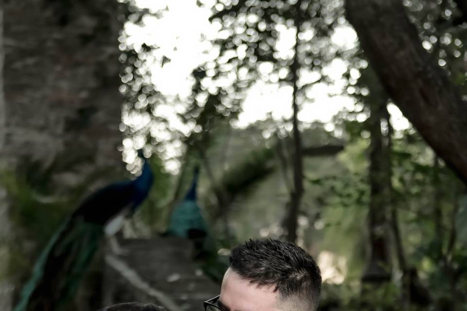 Sesion