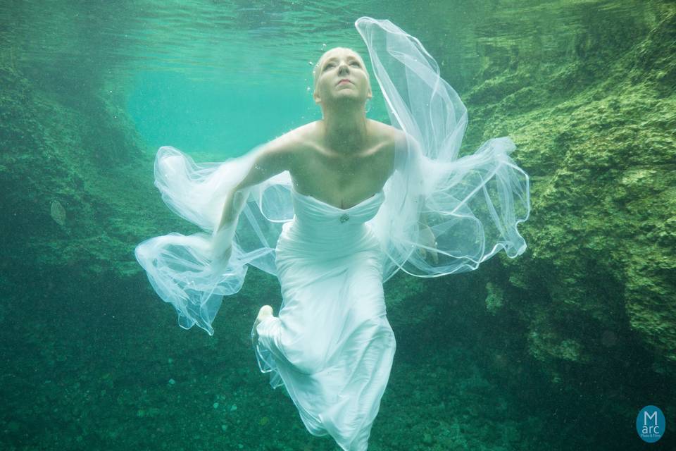 Trash The Dress