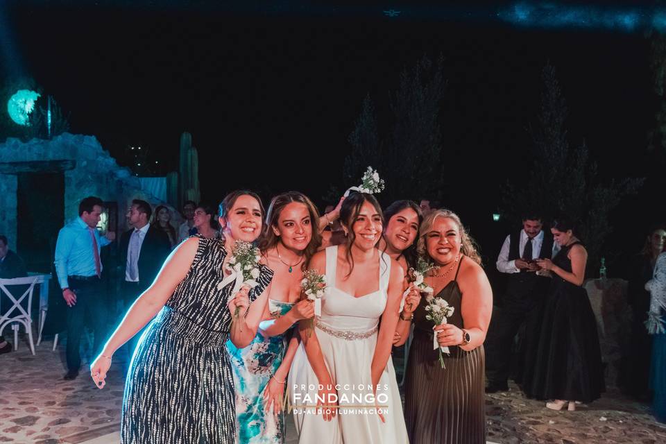 Novios