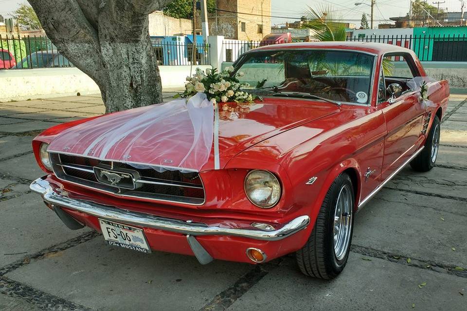 Mustang