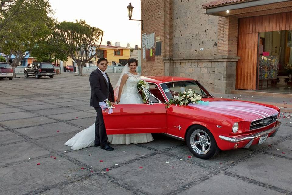 Novios