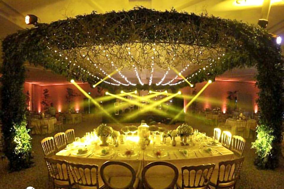 Kinetic Weddings