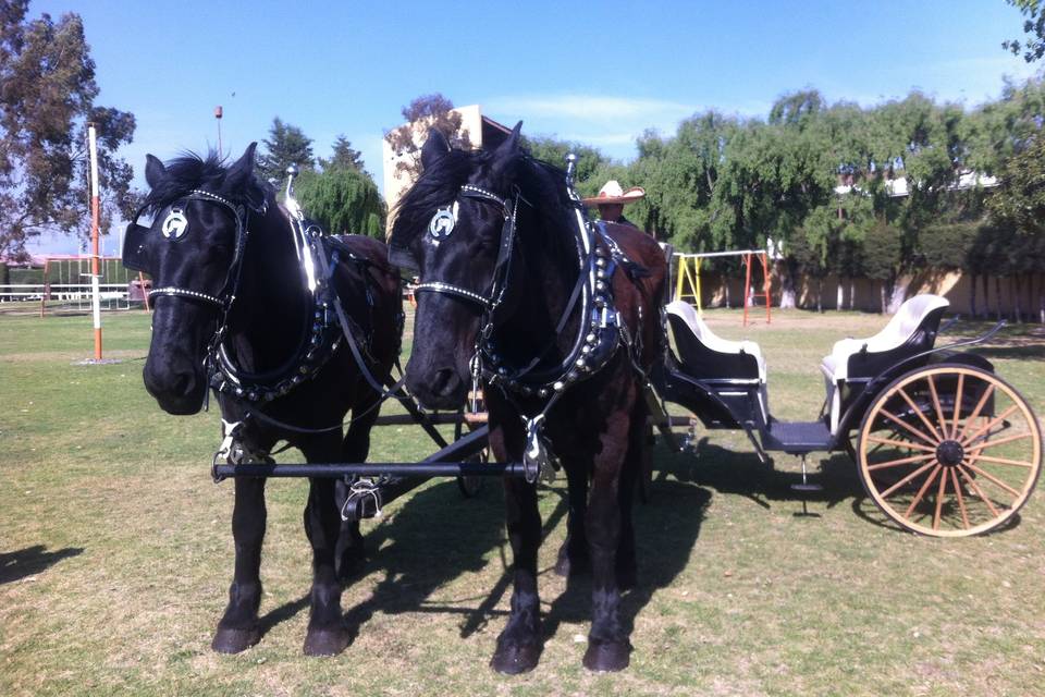 Carreta con caballos