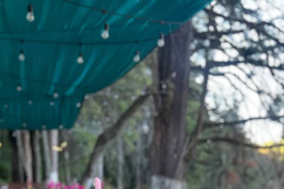 Jardín
