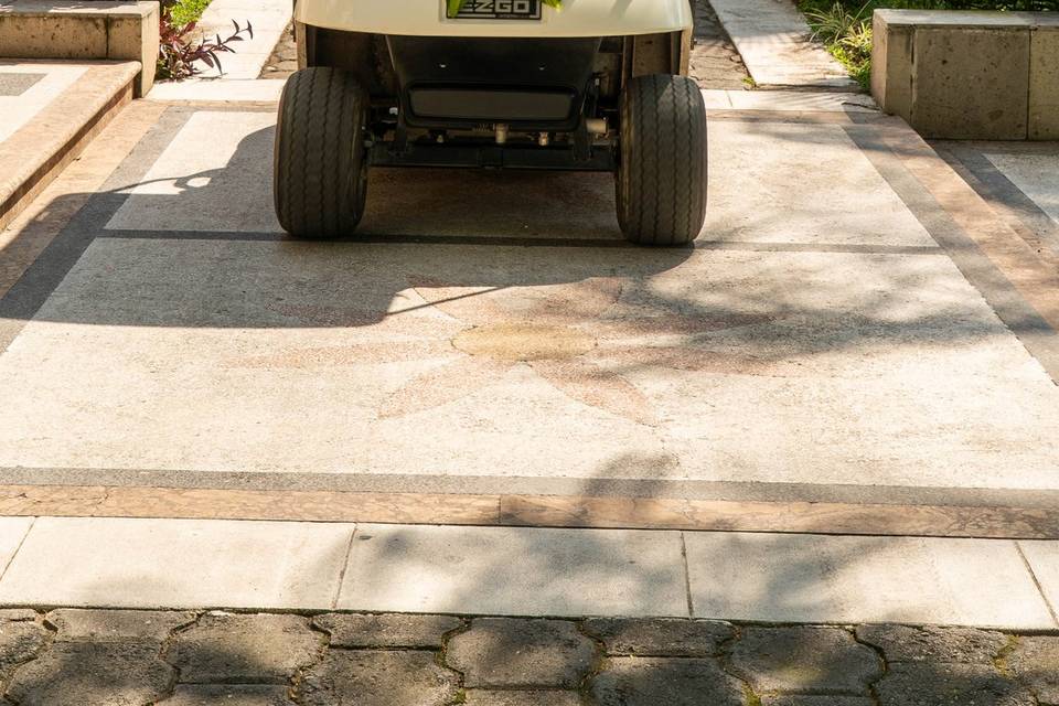Novios carritos golf